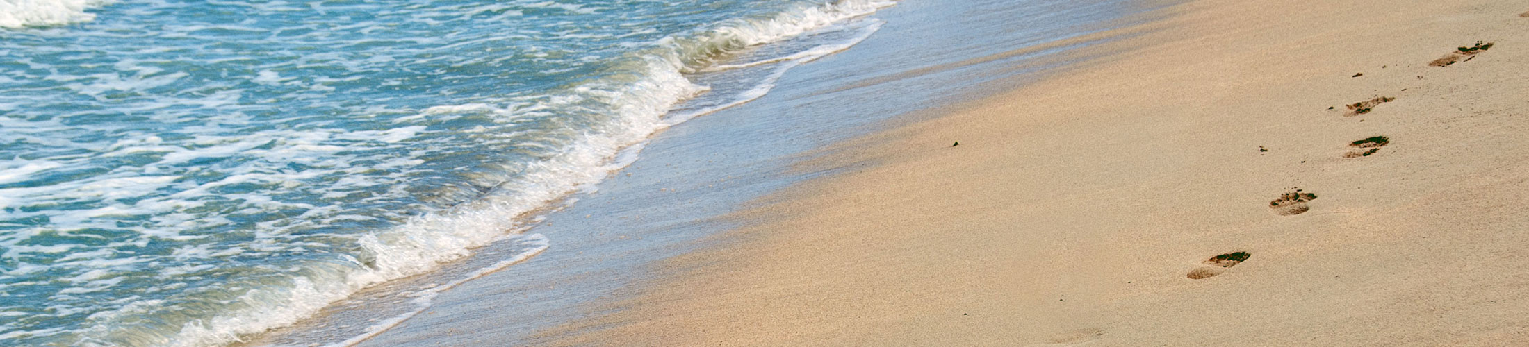 Header Image