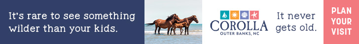 Currituck-South-Horses-24